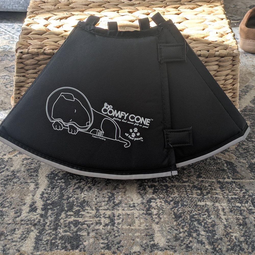 Black Dog Recovery Collar
